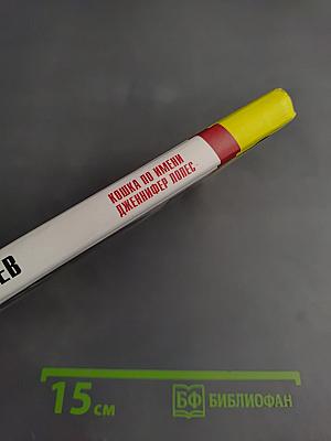 Кошка по имени Дженнифер Лопес