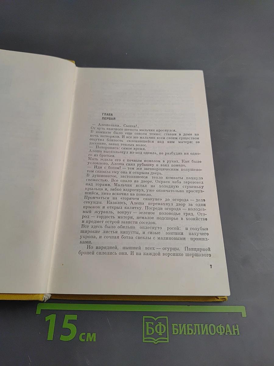 Раннее утро. Книга первая