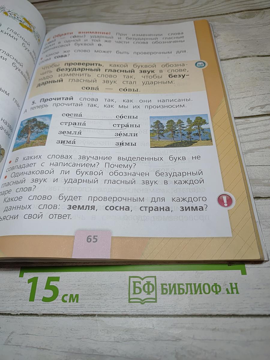 Русский язык. 1 класс