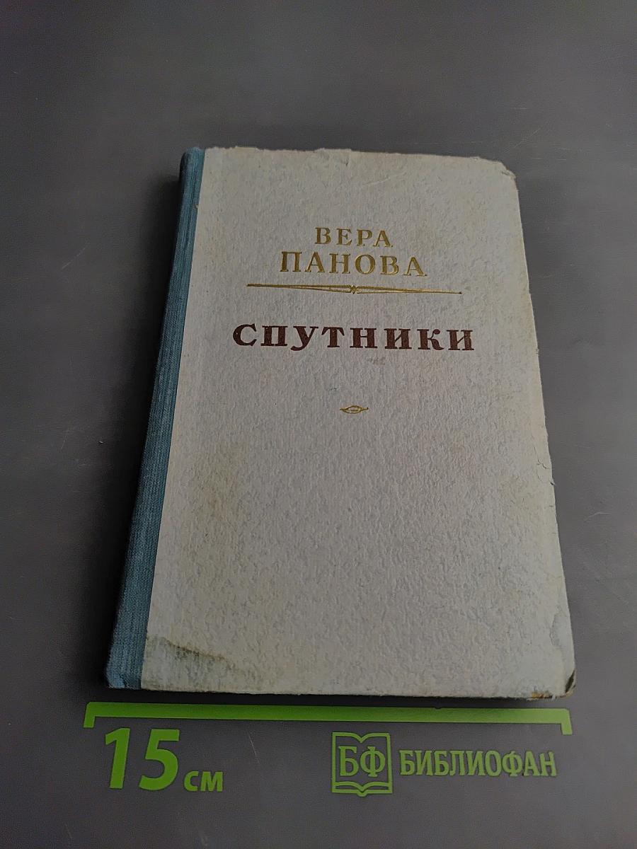 Спутники