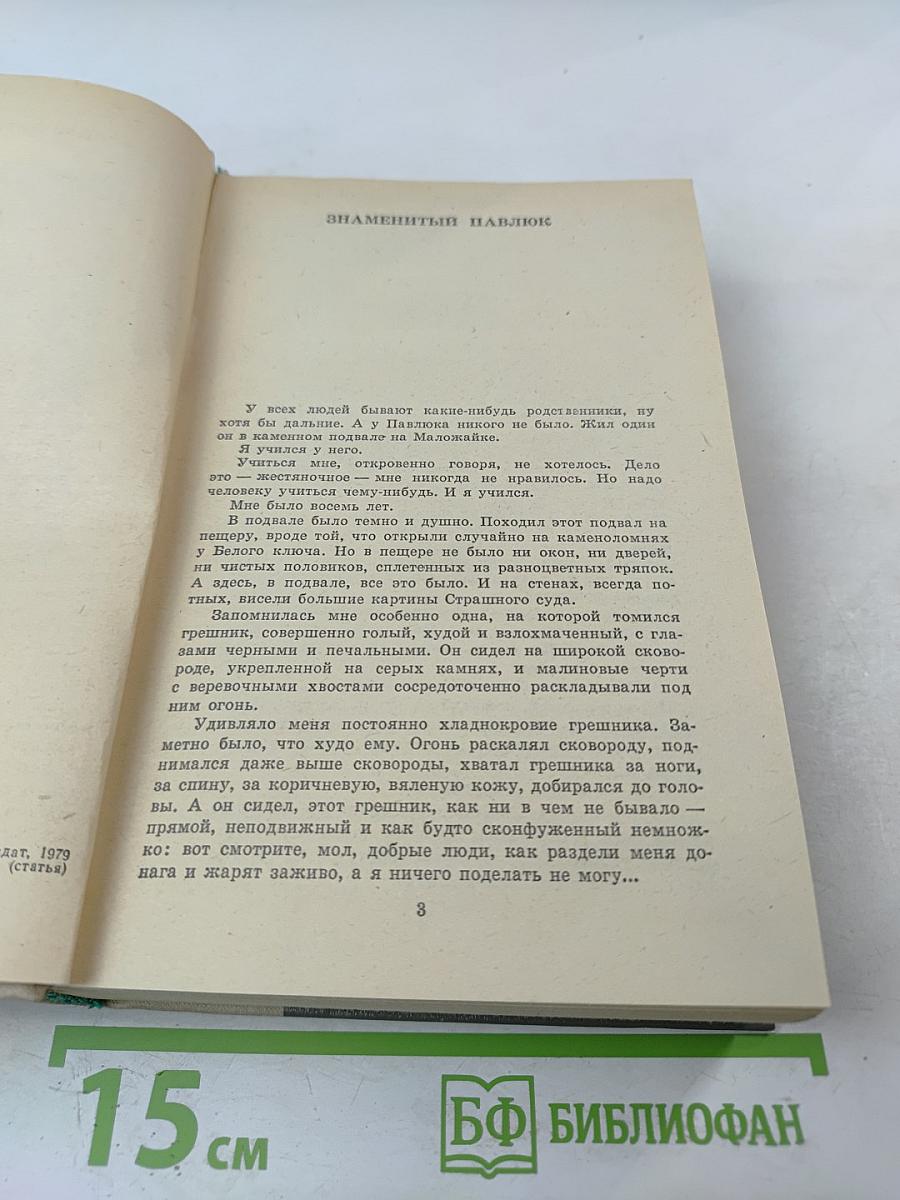 Испытательный срок: Повести и рассказы