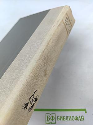 Испытательный срок: Повести и рассказы