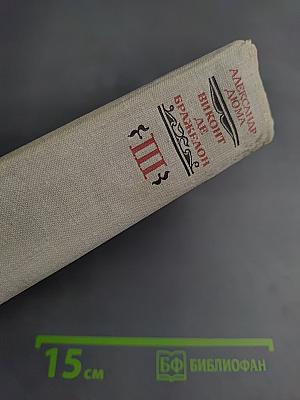 Виконт де Бражелон, или Десять лет спустя. Части 5, 6. Том III