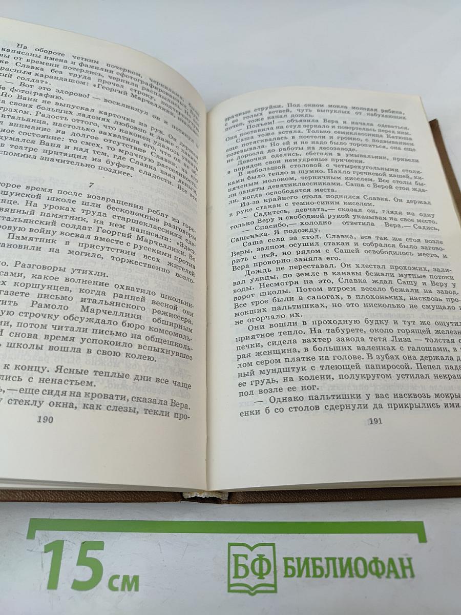 Честное комсомольское. Мы из Коршуна. Твой дом