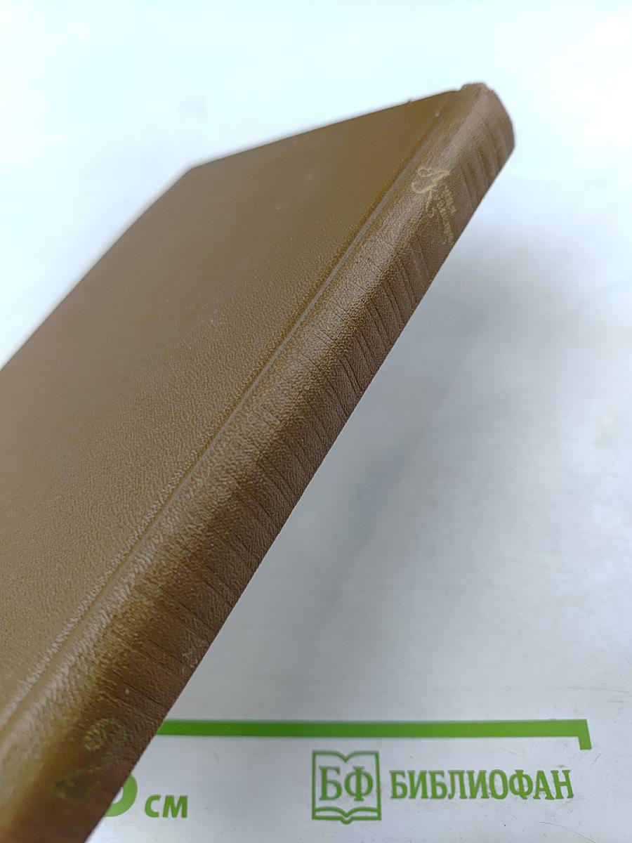 Честное комсомольское. Мы из Коршуна. Твой дом