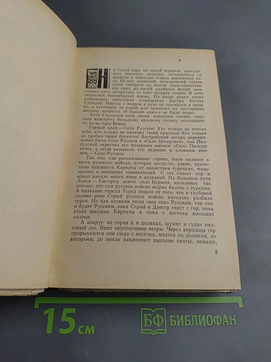 Освобожденная Земля