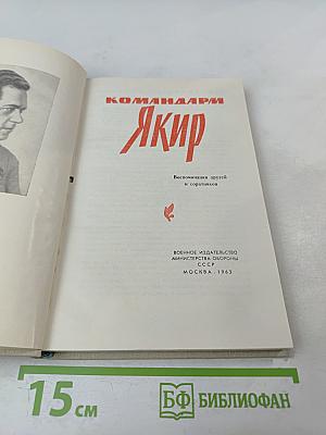 Командарм Якир. Воспоминания друзей и соратников