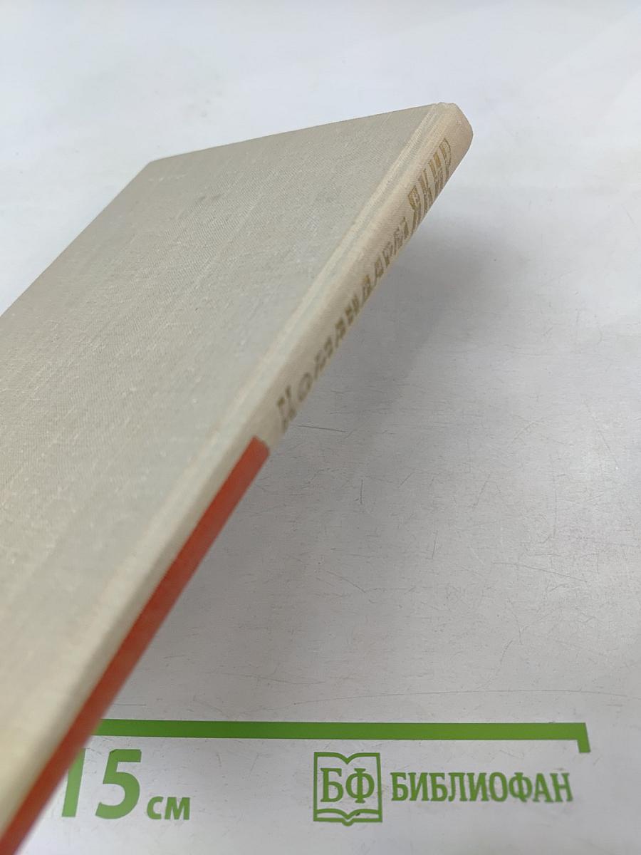 Командарм Якир. Воспоминания друзей и соратников