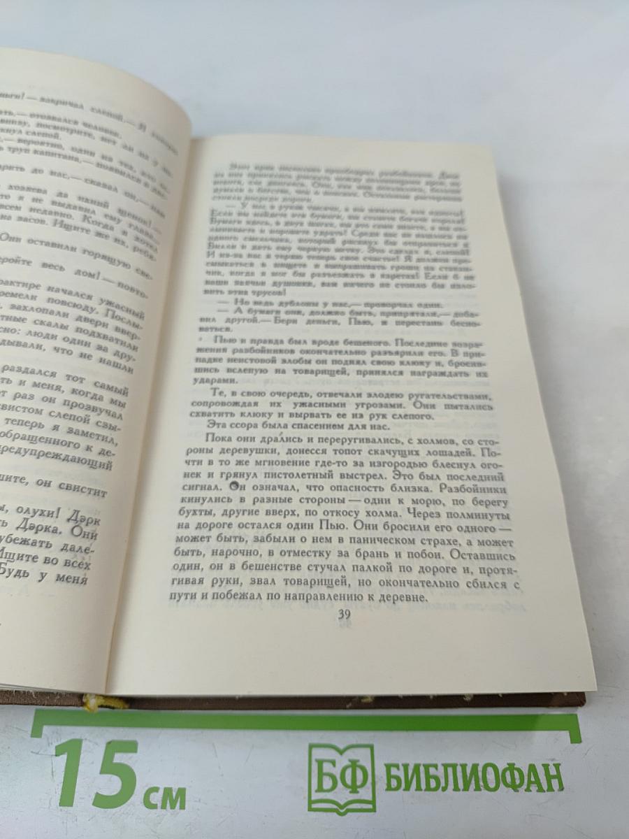 Остров сокровищ. Черная стрела