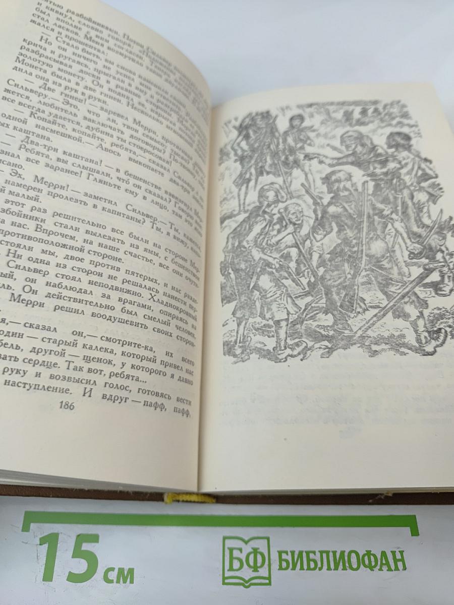 Остров сокровищ. Черная стрела