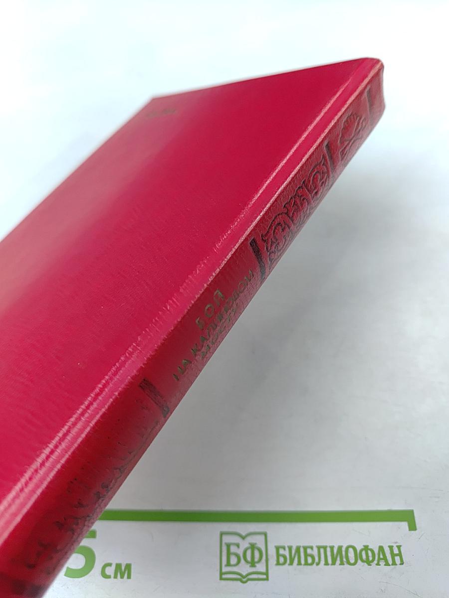 Бой на Калиновом мосту. Русские героические сказки