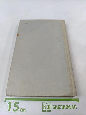 Роза ветров