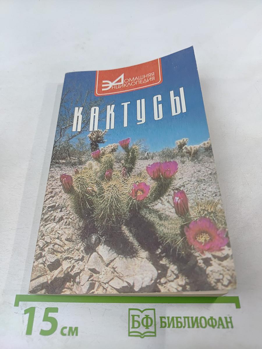 Кактусы