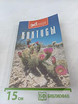Кактусы