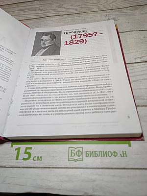 Литература 9 класс часть 2