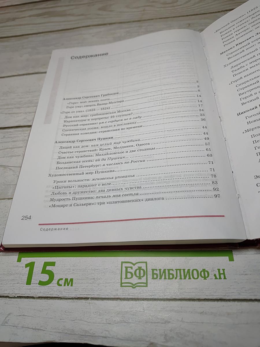 Литература 9 класс часть 2