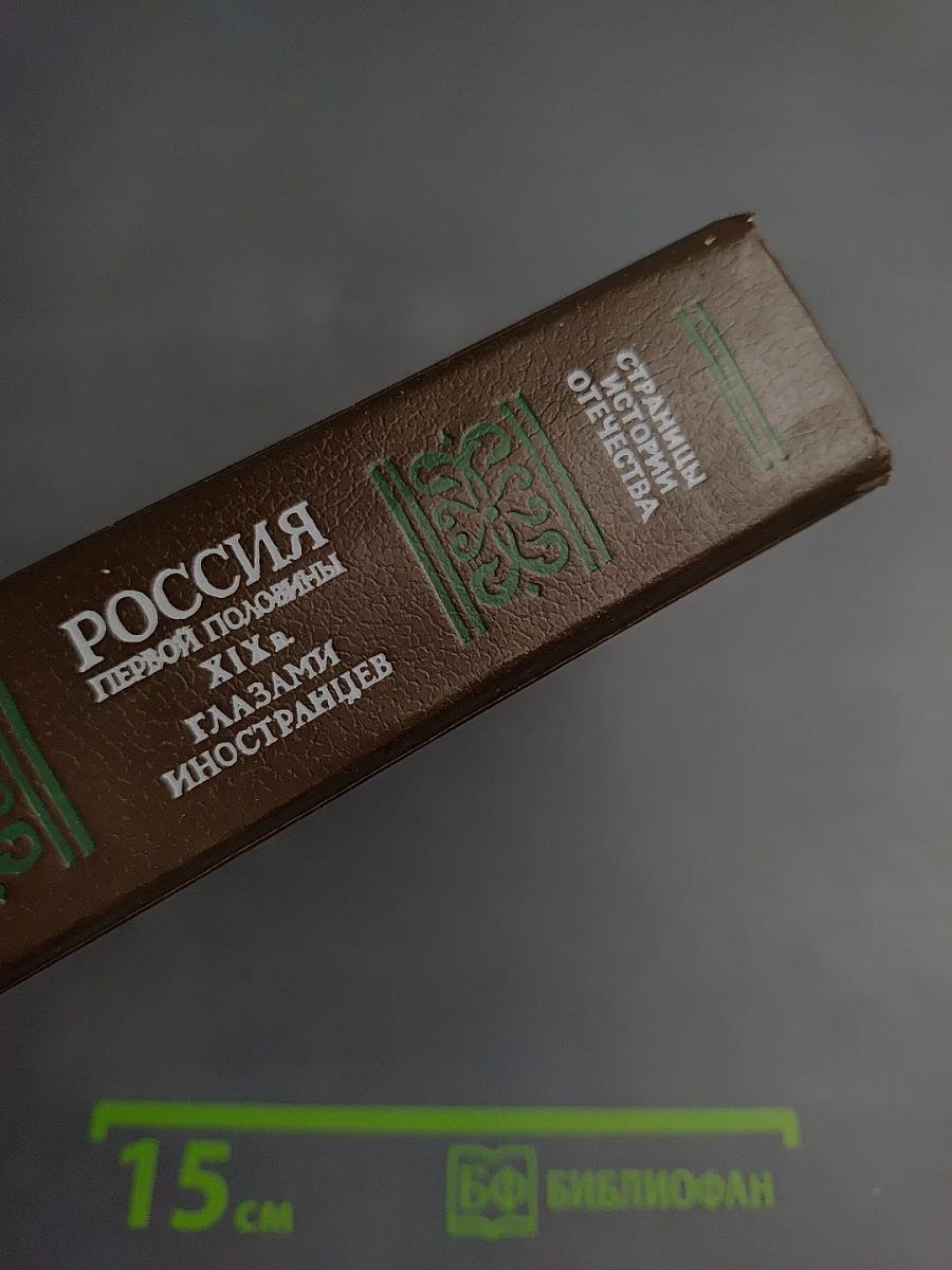 Россия первой половины xix в. глазами иностранцев