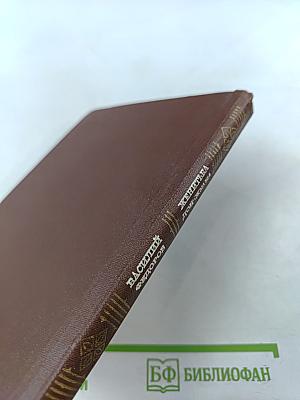 Женитьба Дон-Жуана