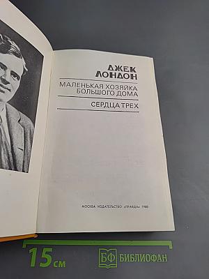 Маленькая хозяйка Большого дома. Сердца трех
