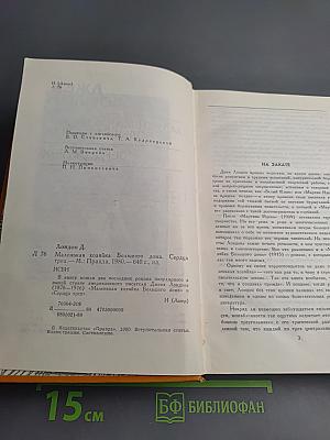 Маленькая хозяйка Большого дома. Сердца трех