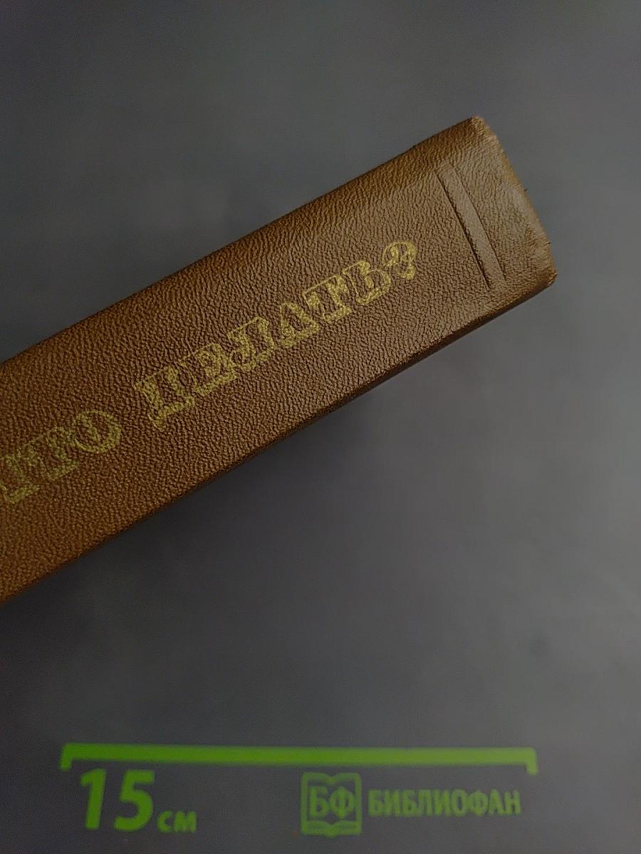Что делать? Из рассказов о новых людях