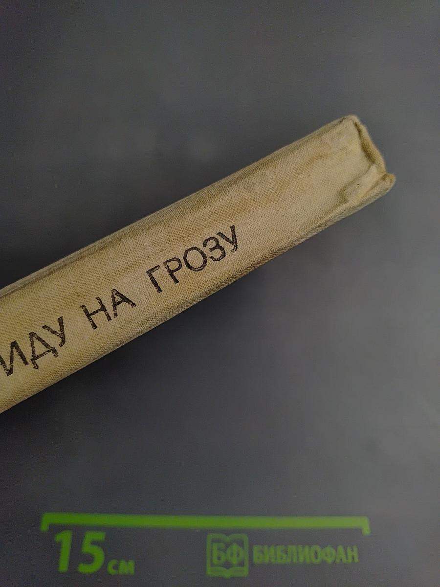 Иду на грозу