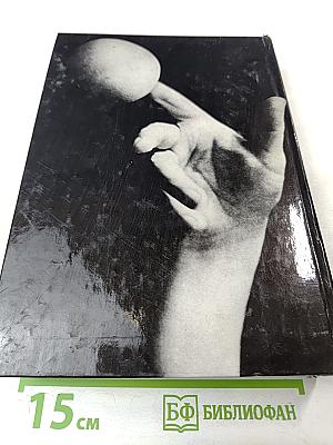 Моя профессия