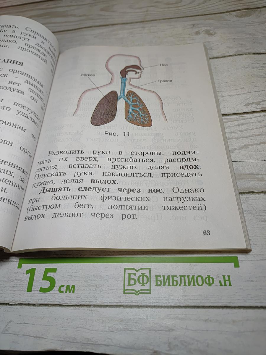 Физическая культура 1-4 классы