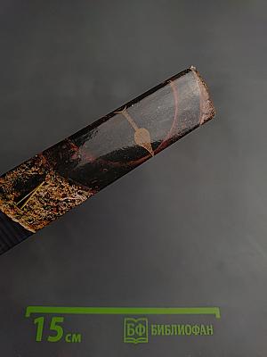 Величайшие загадки аномальных явлений