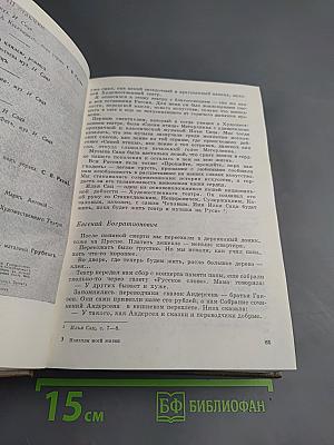 Новеллы моей жизни