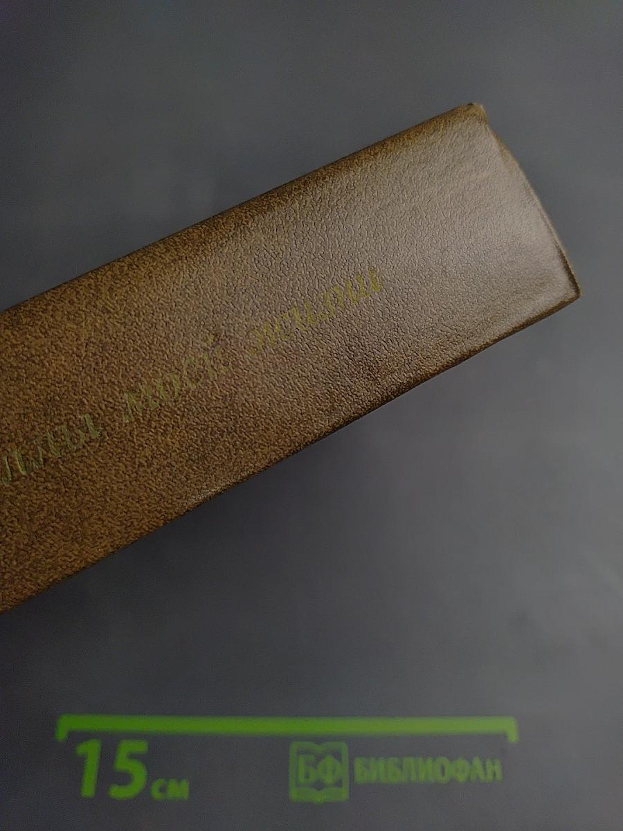 Новеллы моей жизни