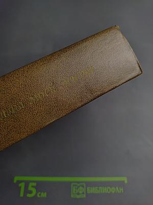 Новеллы моей жизни