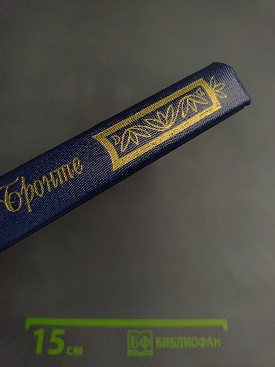 Грозовой перевал. Стихотворения