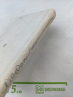 Необходимость прекрасного