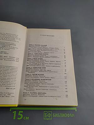 Русская литература XX века