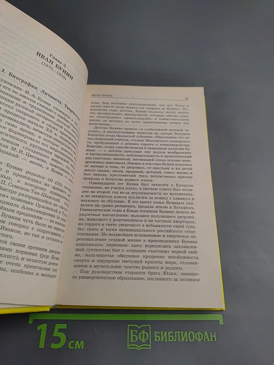 Русская литература XX века