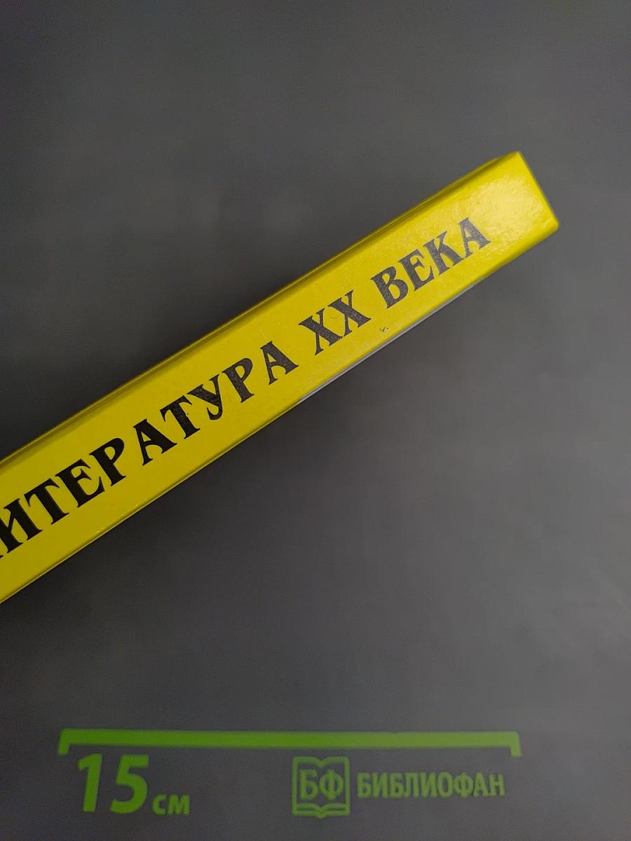 Русская литература XX века