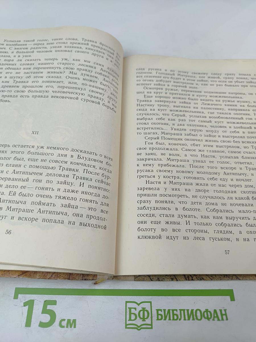 Кладовая солнца. Сказка-быль и рассказы