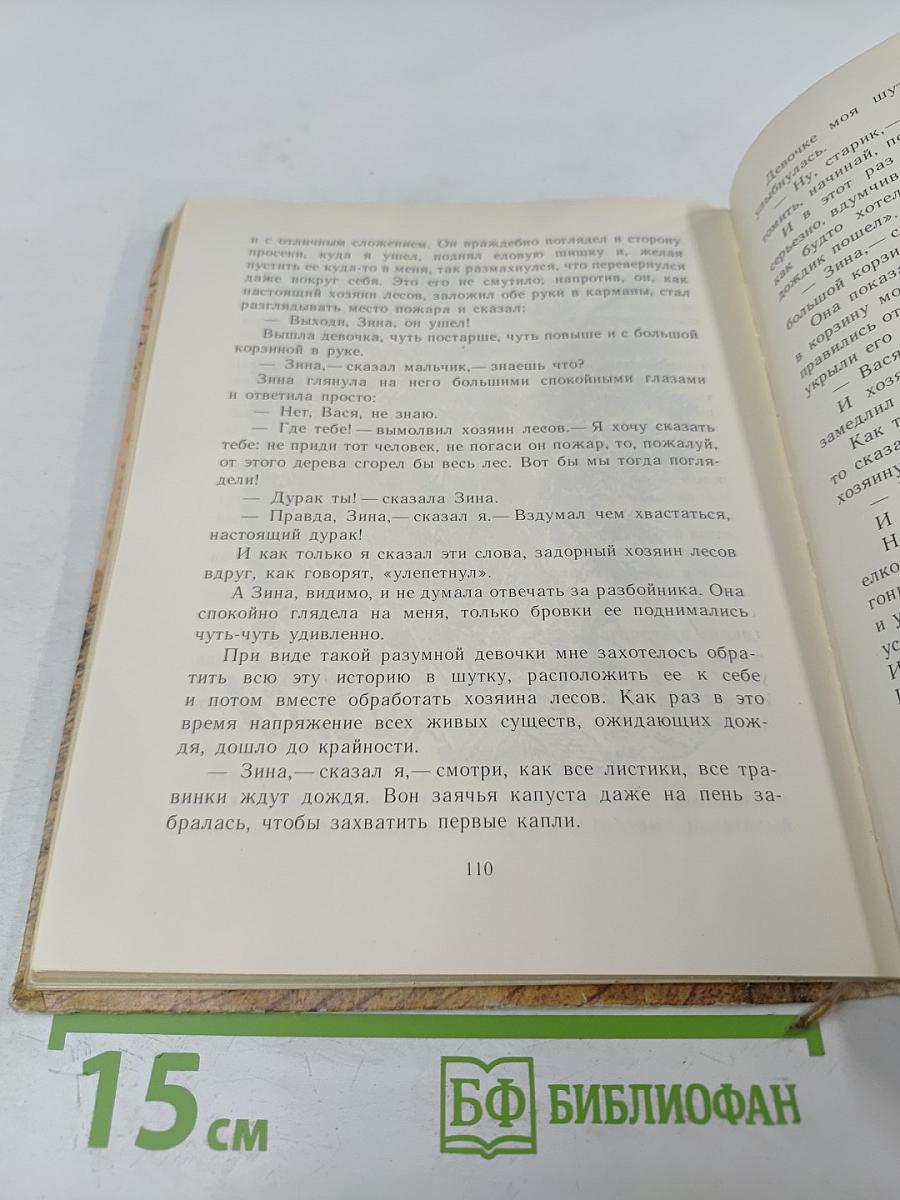 Кладовая солнца. Сказка-быль и рассказы