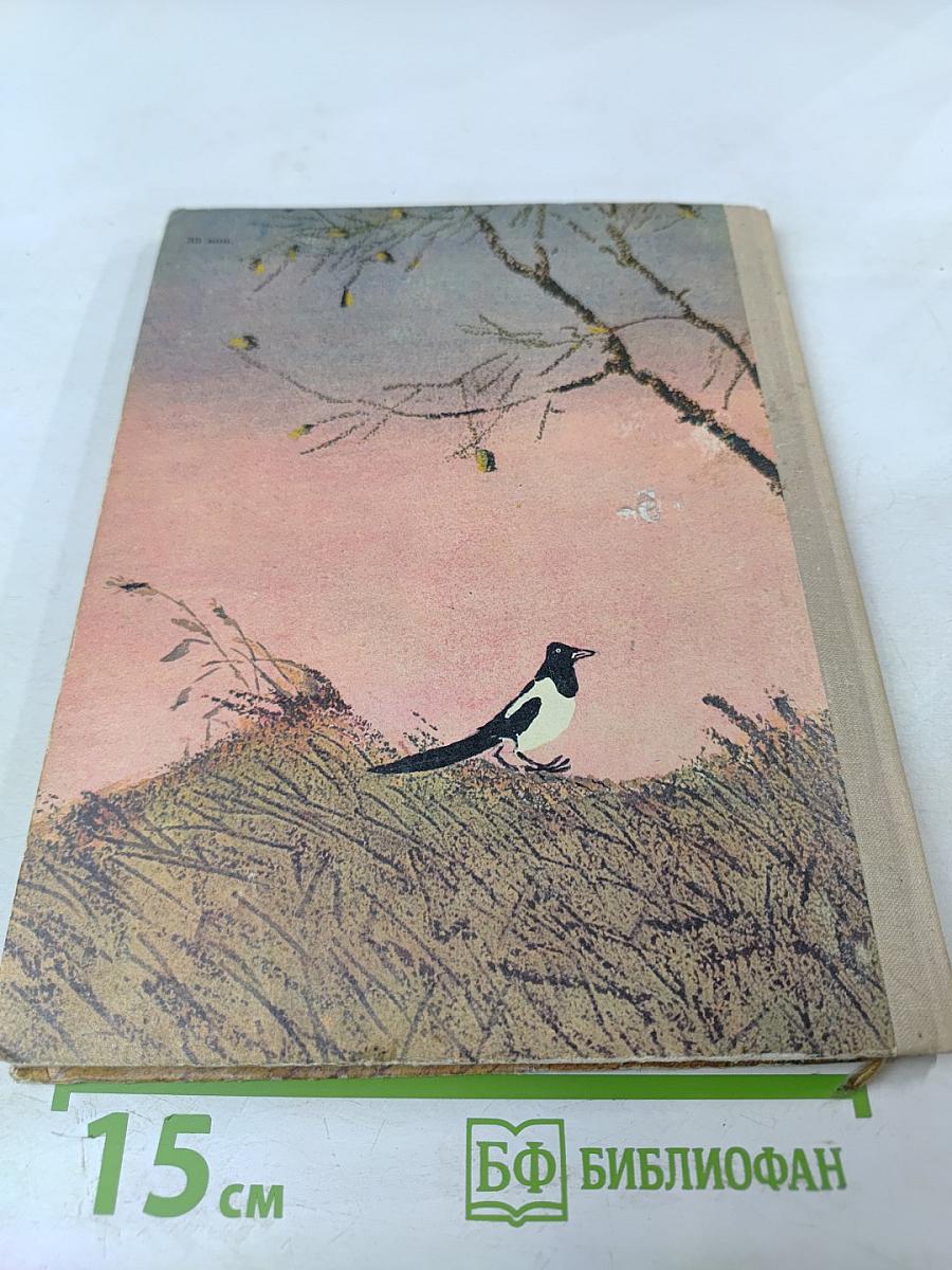 Кладовая солнца. Сказка-быль и рассказы