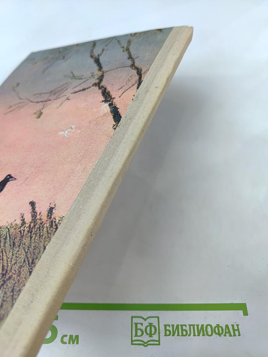 Кладовая солнца. Сказка-быль и рассказы