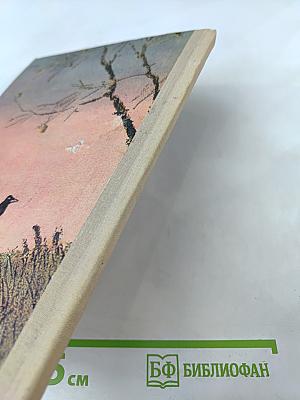 Кладовая солнца. Сказка-быль и рассказы