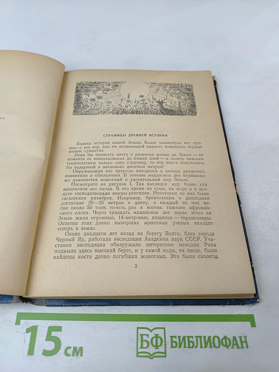 Загадка вещества