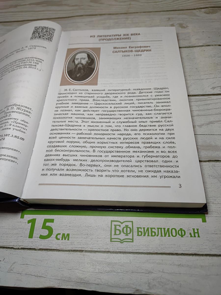 Литература. 8 класс. Учебник. Часть 2