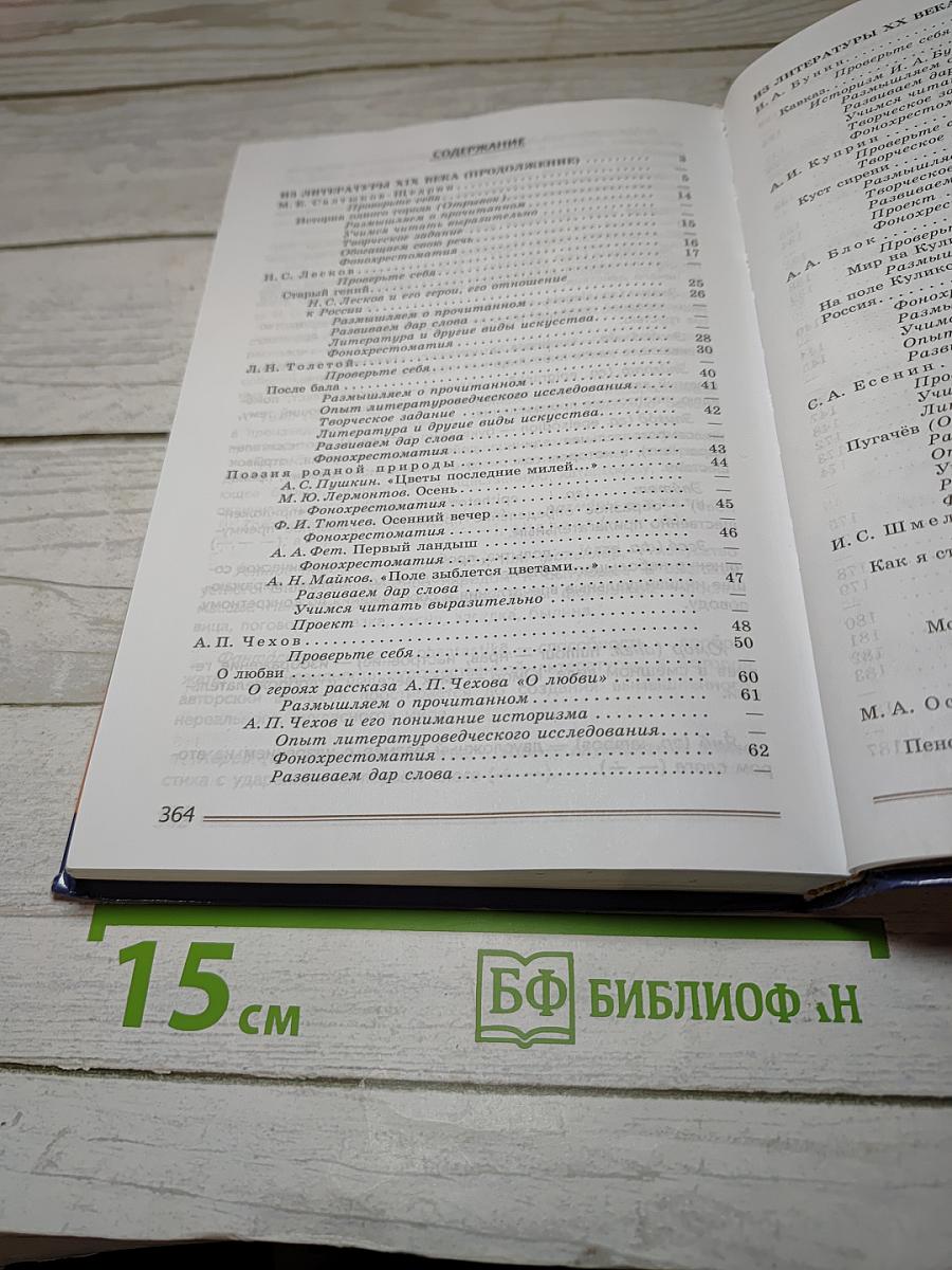 Литература. 8 класс. Учебник. Часть 2