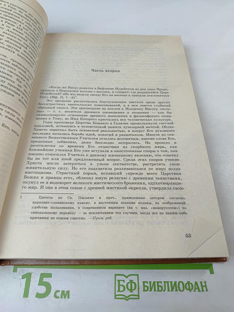 В поисках Божества. Очерки из истории гностицизма
