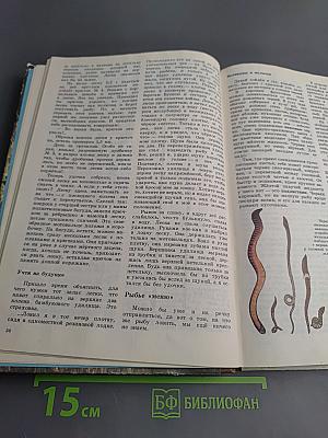 Юный рыболов