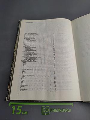 Юный рыболов