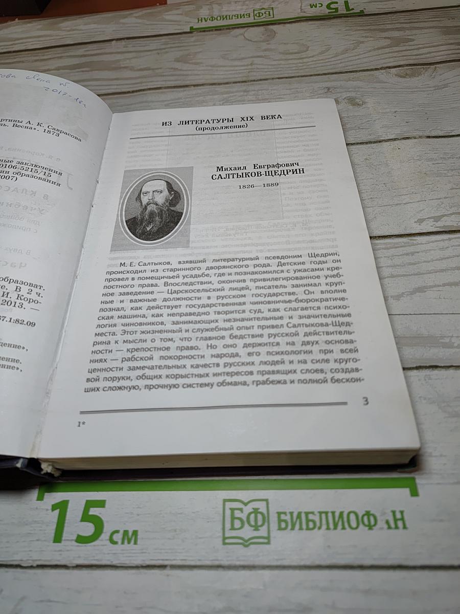 Литература. 8 класс. Часть 2