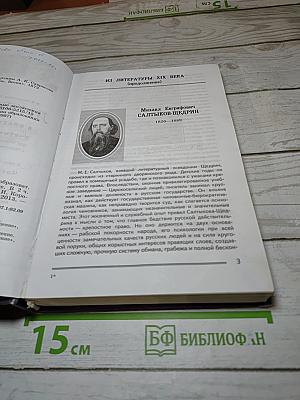 Литература. 8 класс. Часть 2